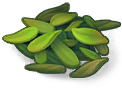 it_2_2_1 · Lv.1